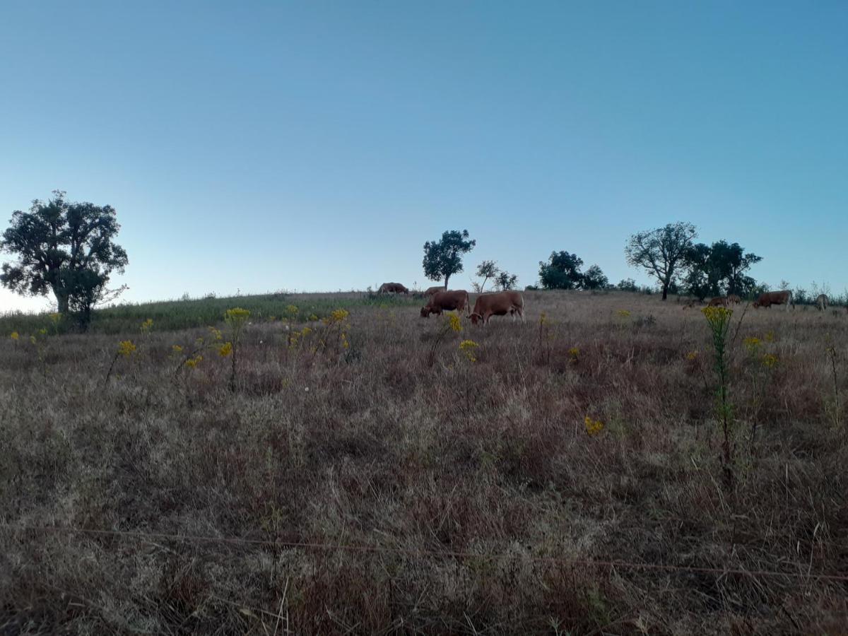 Monte Das Covas São Teotónio Buitenkant foto